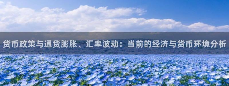 门徒娱乐注册网站：货币政策与通货膨胀、汇率波动：当前的经济与货币环境分析