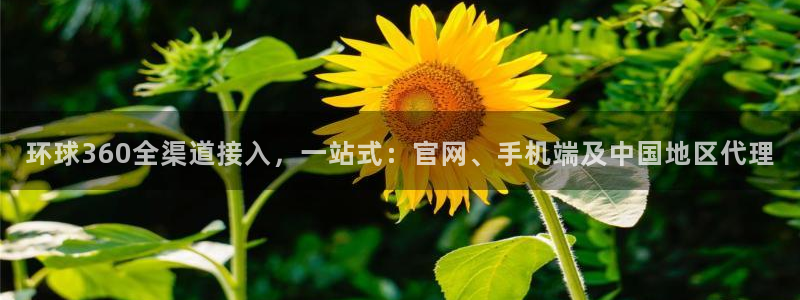 门徒娱乐：环球360全渠道接入，一站式：官网、手机端及中国地区代理