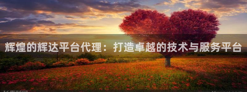 门徒娱乐vip麻将胡了：辉煌的辉达平台代理：打造卓越的技术与服务平台