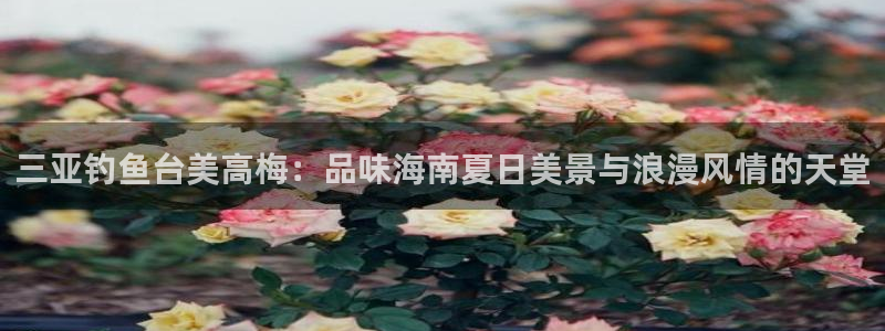 门徒娱乐官网：三亚钓鱼台美高梅：品味海南夏日美景与浪漫风情的天堂