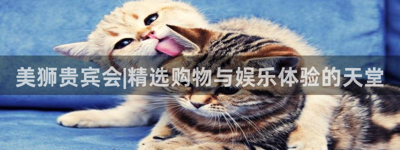 pg门徒娱乐平台下载入口：美狮贵宾会|精选购物与娱乐体验的天堂
