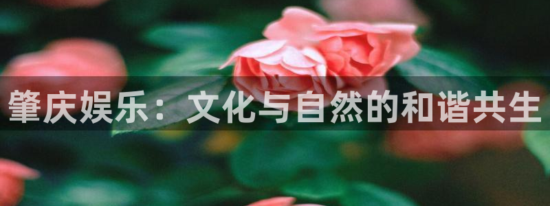 壹号电子娱乐app下载：肇庆娱乐：文化与自然的和谐共生