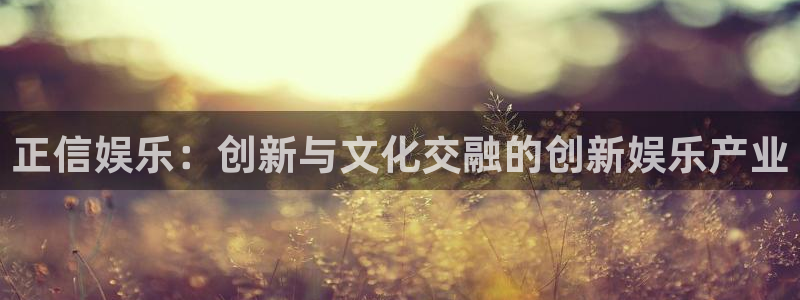 门徒无限内购版免登录：正信娱乐：创新与文化交融的创新娱乐产业