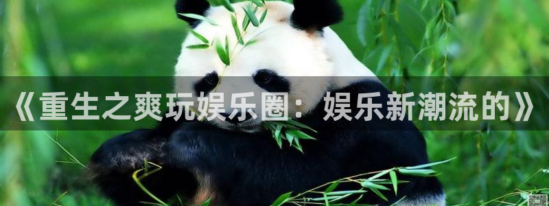 门徒平台官网：《重生之爽玩娱乐圈：娱乐新潮流的》