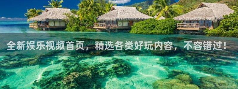 壹号大舞台网站：全新娱乐视频首页，精选各类好玩内容，不容错过！
