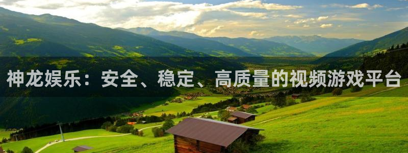 壹号玩家app下载：神龙娱乐：安全、稳定、高质量的视频游戏平台