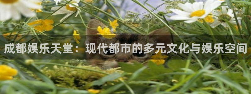 门徒娱乐大厅.即刻登录网址.中国：成都娱乐天堂：现代都市的多元文化与娱乐空间