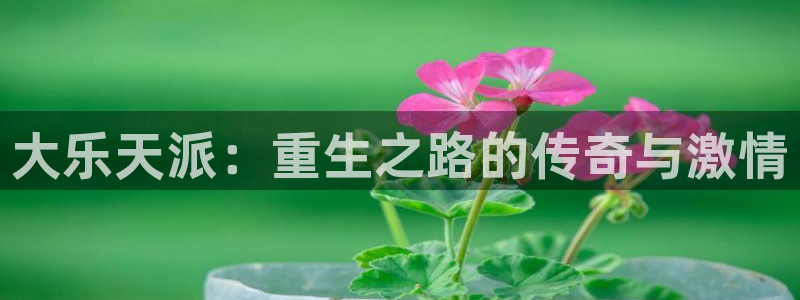 门徒娱乐app网页入口：大乐天派：重生之路的传奇与激情