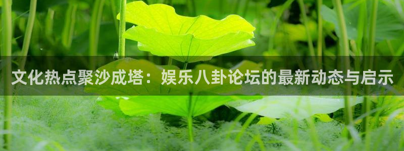 下载门徒娱乐：文化热点聚沙成塔：娱乐八卦论坛的最新动态与启示