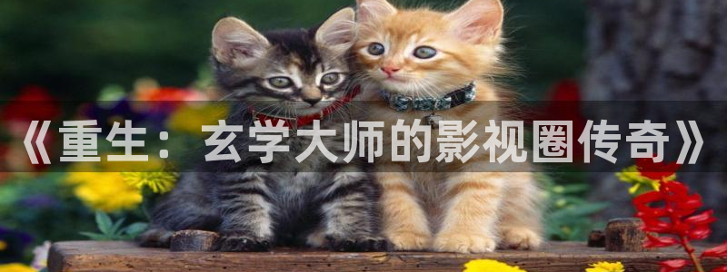 门徒平台登录入口官网注册：《重生：玄学大师的影视圈传奇》