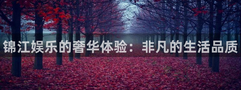 壹号电子娱乐app下载官网：锦江娱乐的奢华体验：非凡的生活品质