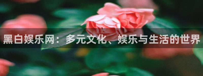 门徒娱乐网址：黑白娱乐网：多元文化、娱乐与生活的世界
