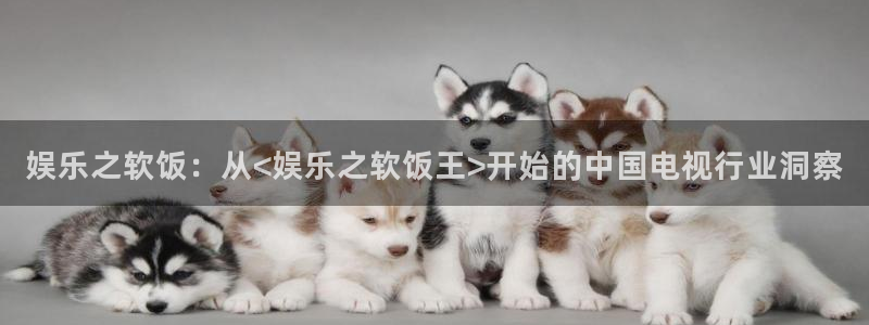门徒娱乐app下载安装：娱乐之软饭：从<娱乐之软饭王>开始的中国电视行业洞察