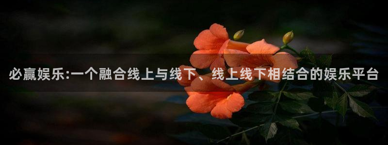 壹号大舞台入口：必赢娱乐:一个融合线上与线下、线上线下相结合的娱乐平台