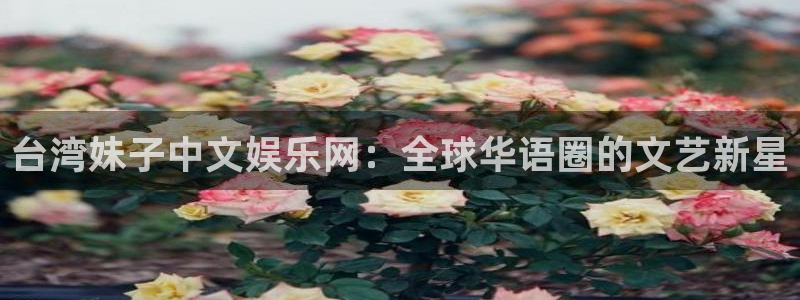 门徒娱乐充值怎么退款：台湾妹子中文娱乐网：全球华语圈的文艺新星