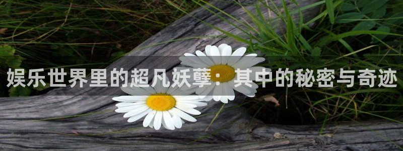 门徒娱乐在线登录