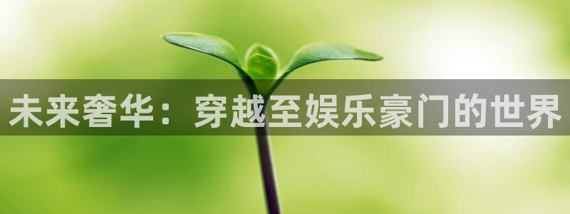 壹号大舞台娱乐传媒