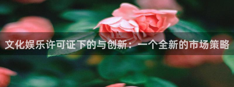 门徒娱乐电子游戏网页版：文化娱乐许可证下的与创新：一个全新的市场策略