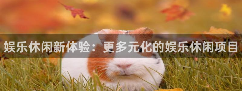 门徒娱乐ccmpc：娱乐休闲新体验：更多元化的娱乐休闲项目