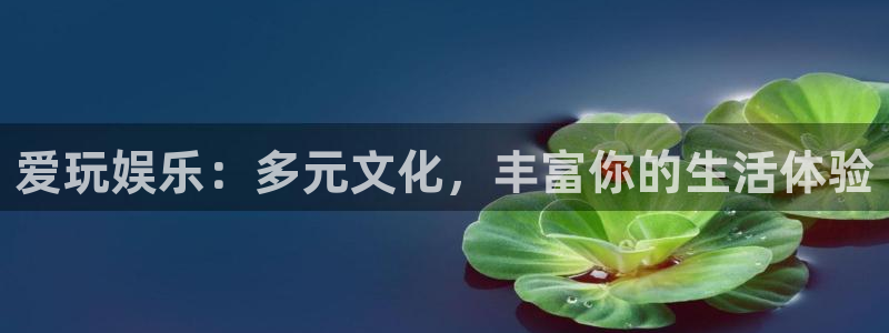 门徒娱乐强制退款流程详解
