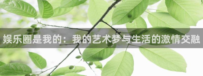壹号电子娱乐app：娱乐圈是我的：我的艺术梦与生活的激情交融