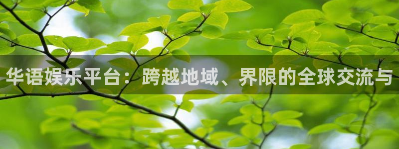 门徒娱乐登陆：华语娱乐平台：跨越地域、界限的全球交流与
