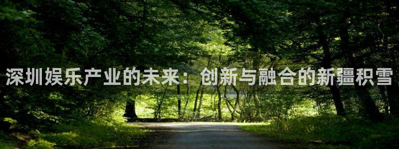 门徒娱乐官网首页：深圳娱乐产业的未来：创新与融合的新疆积雪